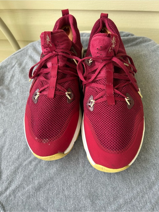 Nike Other - FSU Nike Men's Garnet and Gold Athletic Shoes